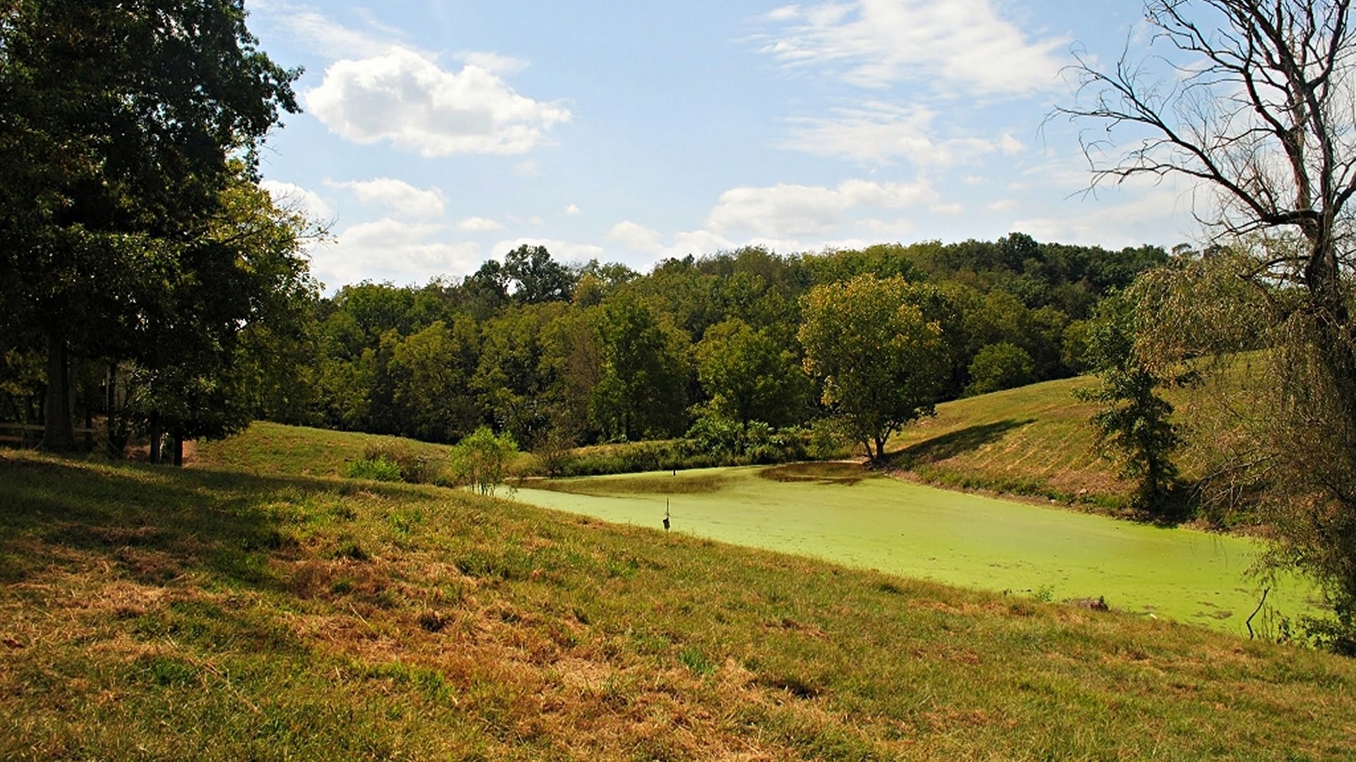 Virginia Horse Farm for Sale